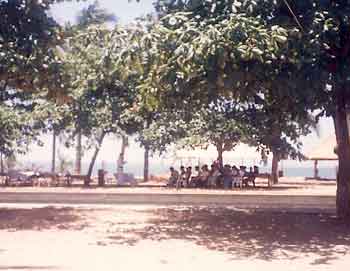 Ignatian retreat under the coconut trees